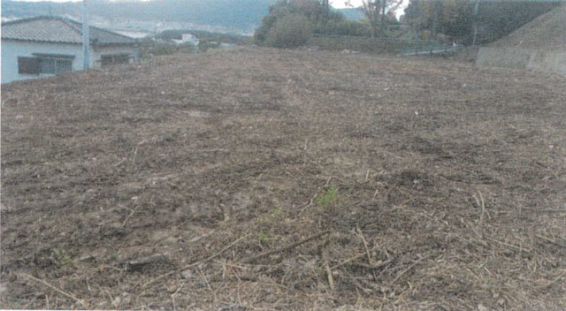 記事のタイトル